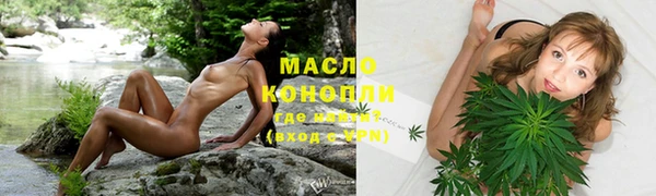мдпв Пестово