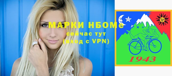 мдпв Пестово