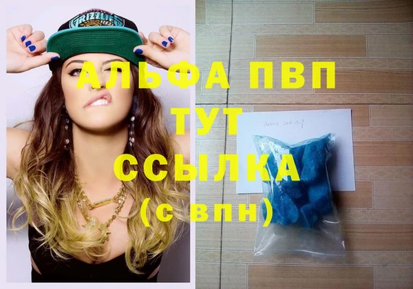 мдпв Пестово