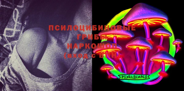 jwh Пересвет