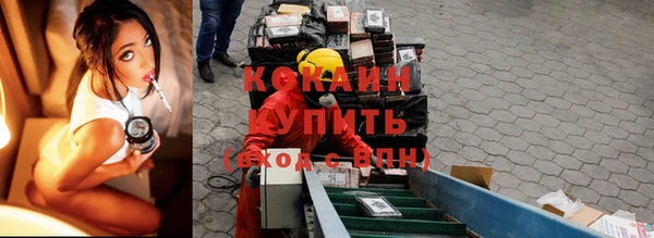 jwh Пересвет